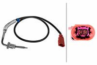 Sensor, Abgastemperatur
