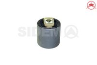 Mounting, control/trailing arm