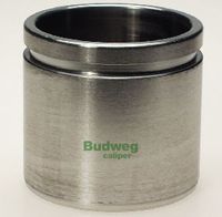 Kolben, Bremssattel