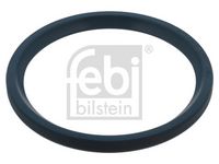 Wellendichtring, Radlager