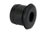 Magnum Technology Bus, veerschommel 2