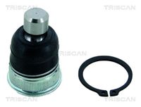 Trag-/Führungsgelenk