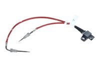 Sensor, Abgastemperatur