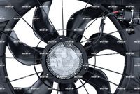 Article Picture
