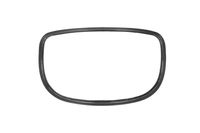 PACOL Extra zijspiegel (vrachtwagen) 1