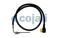 Sensor, Abgastemperatur Sensor, Abgastemperatur