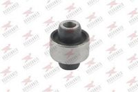 тампон, носач