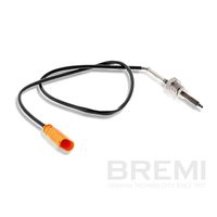 Sensor, Abgastemperatur