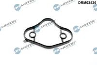 Blīve, Degvielas sūknis DRM02526 Dr.Motor