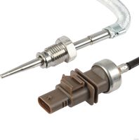 Sensor, Abgastemperatur