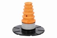 Article Picture