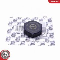 INEL ETANSARE DOP INCHIDERE-POMPA SERVO