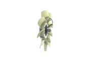 Thumbnail - Koelventilatorwiel - CFF506000P - MAHLE