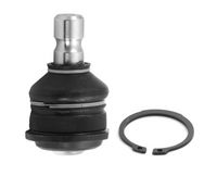 Trag-/Führungsgelenk