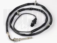 Sensor, Abgastemperatur