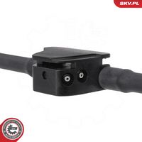 Article Picture