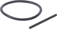 Sortiment, O-Ring