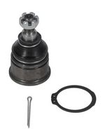 Trag-/Führungsgelenk