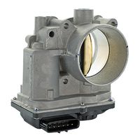 Drosselklappenstutzen