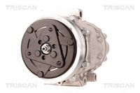 Compresor, climatizare TRISCAN, Cod: 9020 28035
