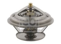 Thermostat, Kühlmittel