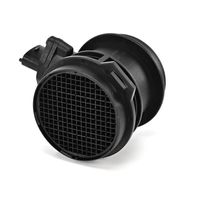 DELPHI Luchtmassameter 5