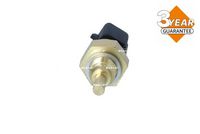 Article Picture