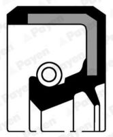 Wellendichtring, Kurbelwelle