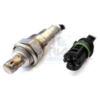 ламбда-сонда