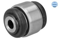 тампон, носач