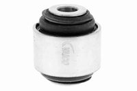 тампон, носач