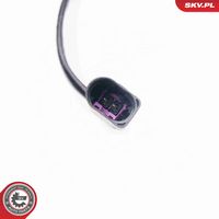 Article Picture