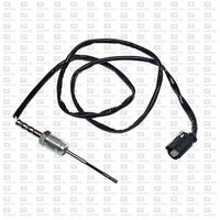 Sensor, Abgastemperatur
