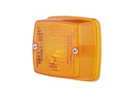 Lichtscheibe, Blinkleuchte