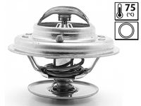 Thermostat, Kühlmittel