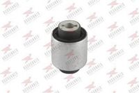 тампон, носач