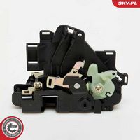 Article Picture