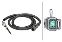 Sensor, Abgastemperatur
