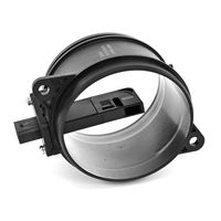 DELPHI Luchtmassameter 8