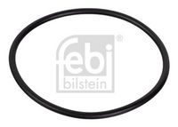 Seal Ring, steering knuckle