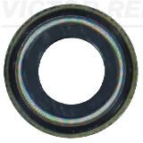 Dichtring, Ventilschaft