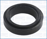 DICHTRING EINSPRITZVENTIL