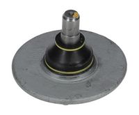 Trag-/Führungsgelenk