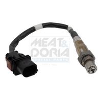 ламбда-сонда