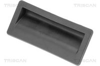 Comutator, deschidere haion TRISCAN, Cod: 8900 29587