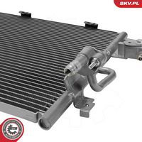 Article Picture