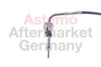 Sensor, Abgastemperatur