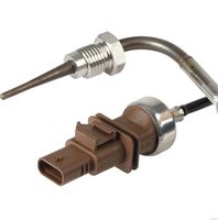 Sensor, Abgastemperatur