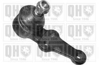 Trag-/Führungsgelenk