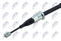 Article Picture